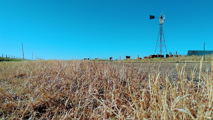 Expert Windmill Repair